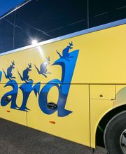 Cars Collard image 20