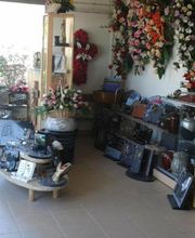 Masalvatella image 5