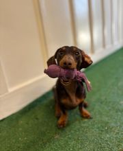 Scotland's Mist Acres image 3