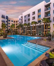 Rize Irvine image 6