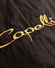 Capelli Intercoiffure Maren Hoffmann Bild 5