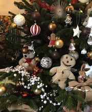 Lucas Christine image 2