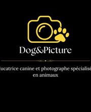Dog & Picture image 12