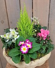 Au Coin Fleuri image 5