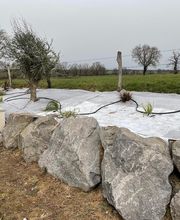 Le carour Paysage image 14