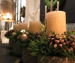 Asclépiade Bild 11