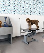 AMLI Addison image 13