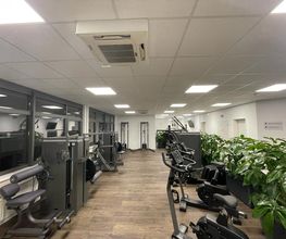 Physio + Performance Standort Heidelberg Bild 7