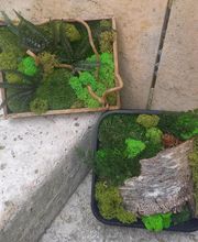 Saveurs Florales image 6