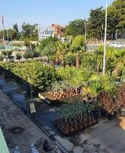 Villaverde Hyères image 15