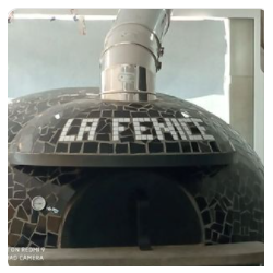 La Fenice logo