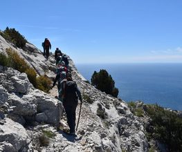 WeitWandern Bild 1