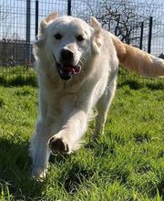 La Villa des Truffes D'Or image 2