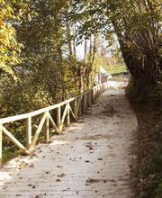 Cercastur, S.L. imagen 12