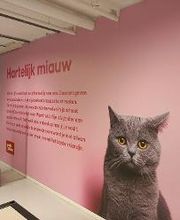 Pets Place afbeelding 1