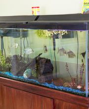 Topaz Veterinary Clinic image 13