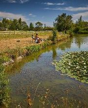 Camping Homair - Clos Cottet image 3