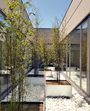 Tanatori Àltima Vilafranca del Penedès imagen 3