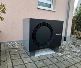 Meister Rotar Max Bild 6