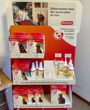 Nature Dog 05 Briançon image 3