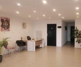 SCP Steen Vanloocke Mullemeester image 7