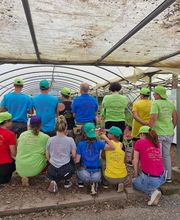 Rapnouil Stephane image 8