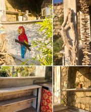 La Maison de Majoli image 16