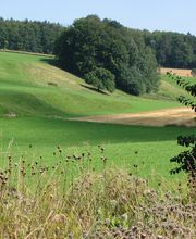 Umgebung von Betenbrunn