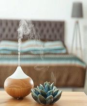 Pharmacie De La Basilique image 4