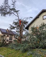 Badischer-Servicedienst Bild 4