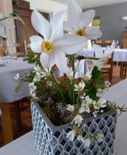 Hôtel restaurant Relais De Thezillieu image 13