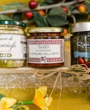 Gallery Professionale