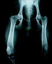 Clínica Veterinaria Los Galgos imagen 5