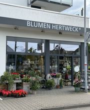 Blumen Hertweck Bild 2