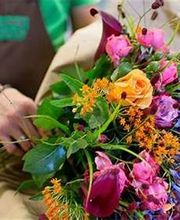 BLUME2000 Pinneberg Bild 2