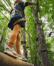 Bosdarros Aventures image 1