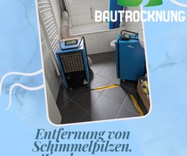 Bautrocknung Kostikov