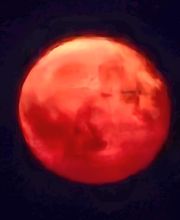 Mercier Alain image 10