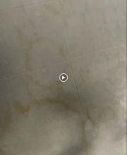 Reinigung ProServices Bild 7