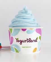 Yogurtland Corona Hills image 6