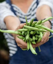 Zutat_Gemüse_Kochen