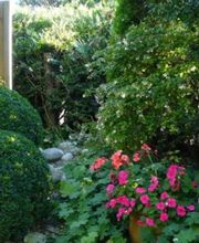 HENRY SERVICES JARDINS SARL image 2