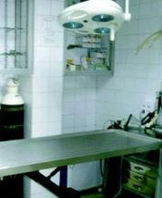 Clínica Veterinaria Los Galgos imagen 14