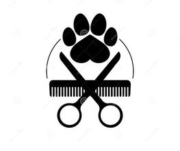 O'Prestige Canin image 5