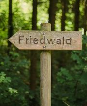Kleine Schilder aus Holz entlang der Waldwege bieten Ihnen Orientierung im FriedWald Schwaigern.