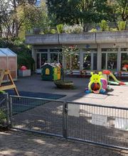 Kita Schmetterling Bild 1