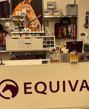 EQUIVA Kamen Bild 1