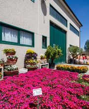 Gallery Professionale