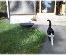 BBBilstein.ch Bild 4