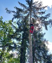 Garten und Forstbetrieb Feibig Bild 5
